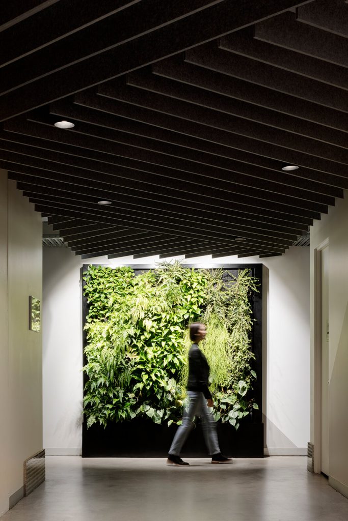 South Melbourne Business Hub by de.arch